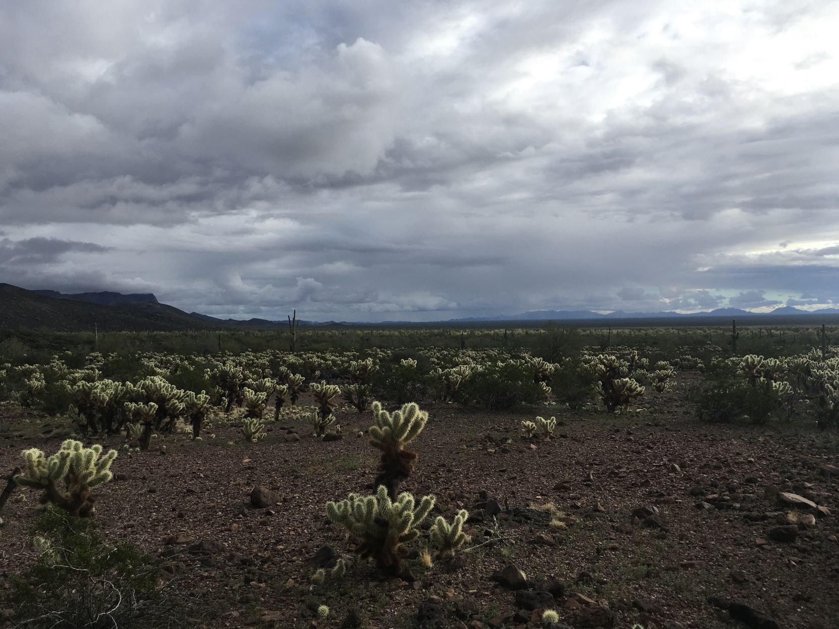 The graveyard in Arizona’s borderlands